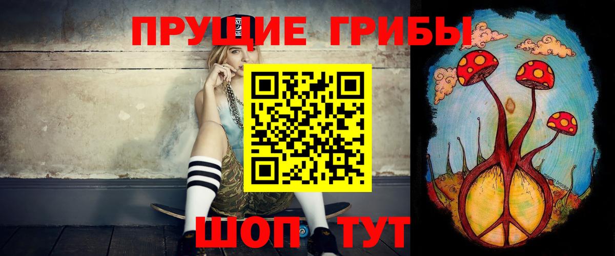 Галлюциногенные грибы Cubensis  дарнет шоп  Нижнекамск  Псилоцибиновые грибы MAGIC MUSHROOMS  Вход с VPN 
